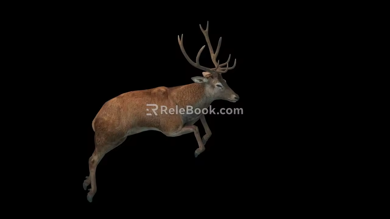 Deer Belt Action 3d model