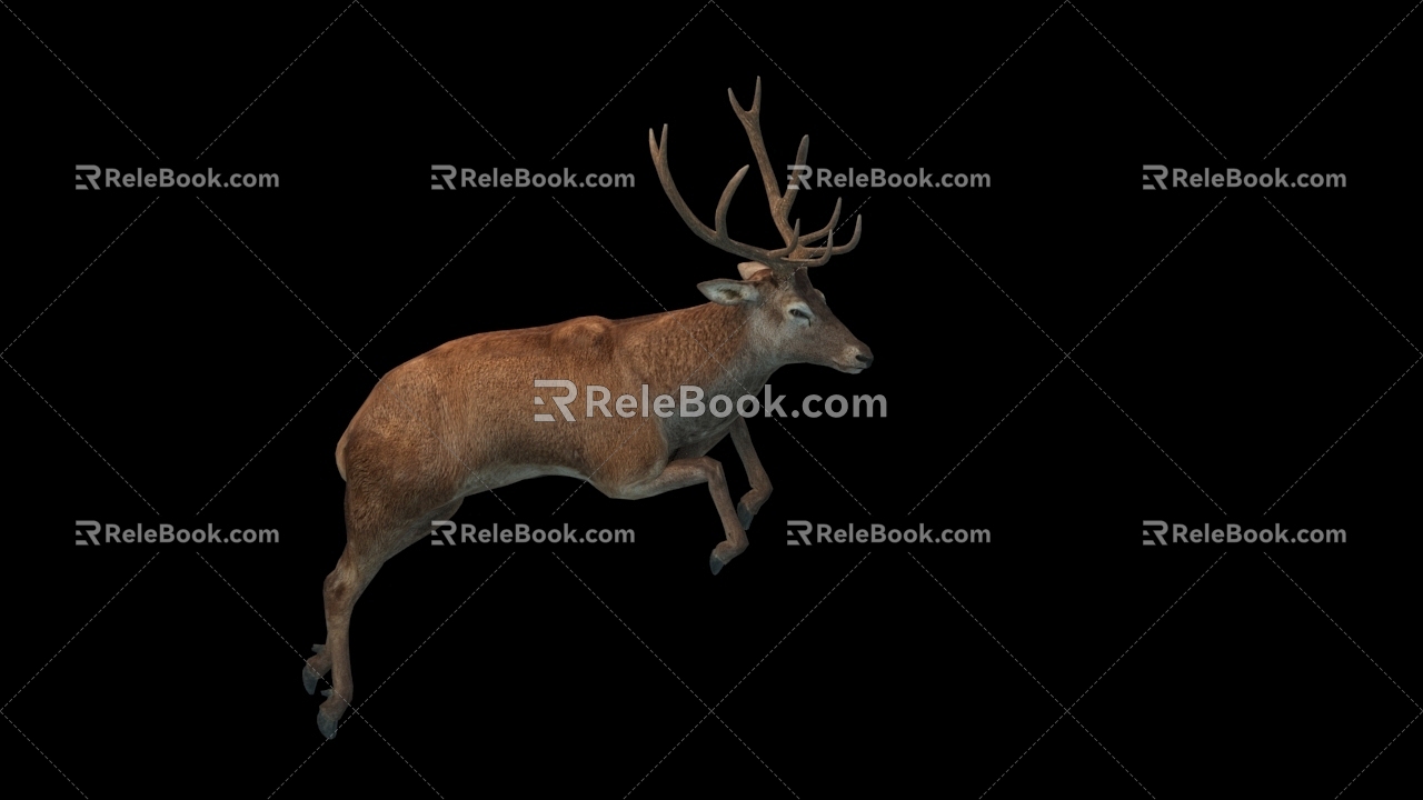 Deer Belt Action 3d model