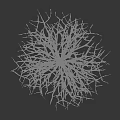 Single Bare Tree with Snow Covered Branches Standing Against Neutral Background 3d model