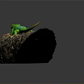 Vibrant Green Lizard Perched On Weathered Wooden Log With Textured Surface