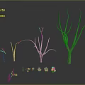 Dry Trees And Small Green Plants Of Various Sizes In Dark Environment