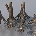 Natural Plant Combination Featuring Multiple Tree Stumps And Exposed Roots 3d model