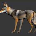 3D Rendered Wolf with Orange and Gray Fur Standing on Dark Background with Reflection