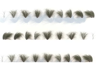 Decorative Grass Varieties Arranged in Rows With Different Shapes and Textures for Landscaping 3d model