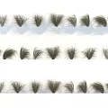 Decorative Grass Varieties Arranged in Rows With Different Shapes and Textures for Landscaping