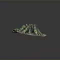 Natural Scenic Landscape With Moss Covered Tree Stumps Green Vegetation And Earth Ground