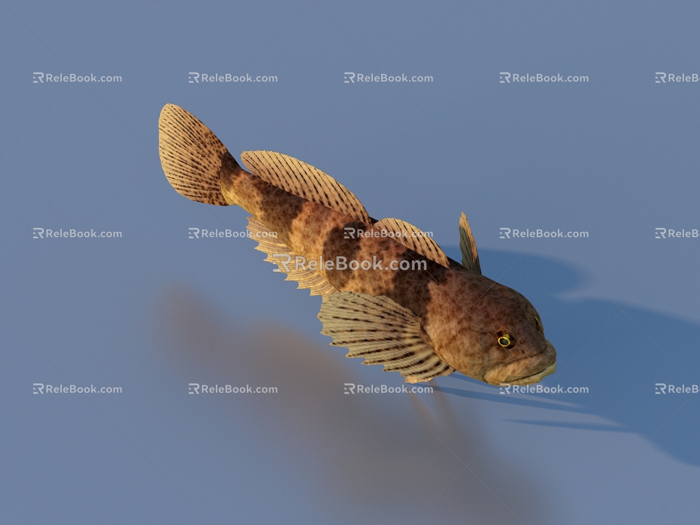 fish freshwater fish aquatic animal 3d model