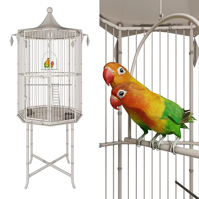 Modern Birdcage 3d model