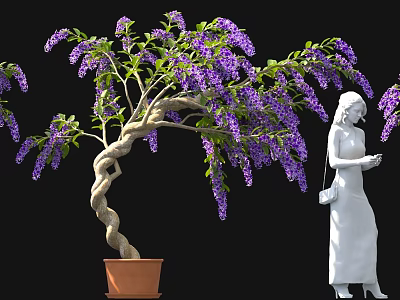Bonsai Plant With Twisted Trunk Purple Flowers In Brown Terracotta Pot And White Statue 3d model