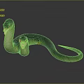 Green Mythical Two Headed Snake Creature With Serpentine Body And Forked Tongues