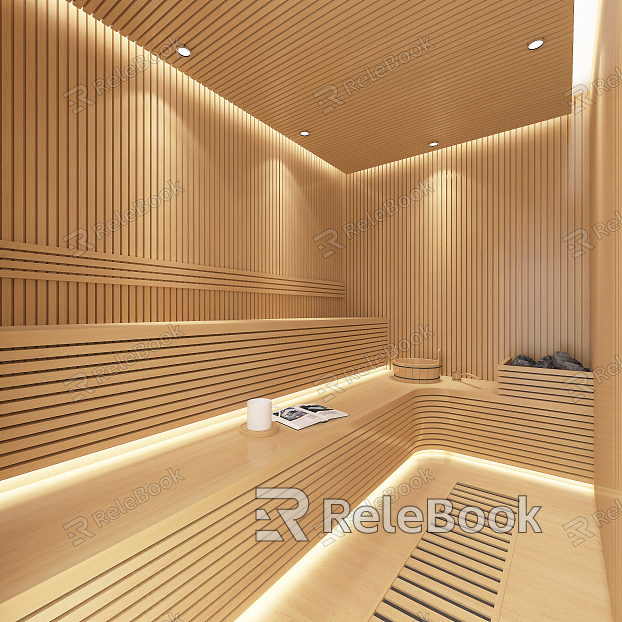 Modern Sauna Room model