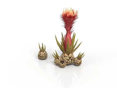 Unique Plant Featuring Red Yellow Flower Green Stem And Small Pineapple Like Structures With Buds 3d model