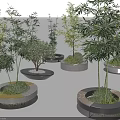Multiple Circular Tree Planters With Bamboo Green Plants Concrete And Wooden Edges
