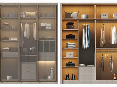 Modern Wardrobe Interior Design With Hanging Rods Drawers Shelves And Storage Solutions 3d model