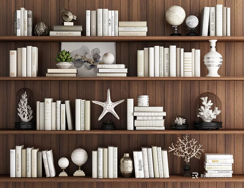 Decorative Ornament Set With Books Globe Starfish And Coral On Wooden Shelves For Home 3d model 
