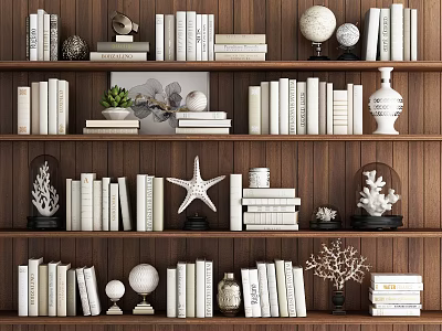 Decorative Ornament Set With Books Globe Starfish And Coral On Wooden Shelves For Home 3d model