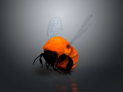 Orange Plush Bee With Transparent Wings Black Legs And Gray Background 3d model