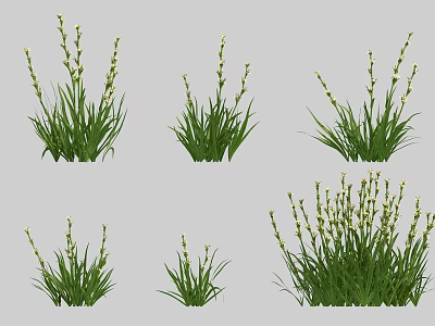 Modern Flowers Flowers 3d model