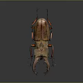 Stag Beetle With Large Mandibles And Brown Red Body On Dark Background