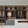 Modern Walk in Closet Interior Design With Hanging Clothes Drawers Storage Boxes And Cabinets