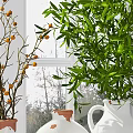 White Vases With Terracotta Base Holding Green Leaves And Orange Berries Near Bright Window