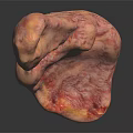 Realistic Human Liver Organ Anatomy Model With Detailed Texture And Pinkish Appearance