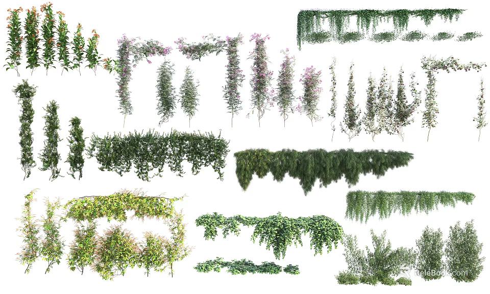 Various Types Of Decorative Climbing Hanging And Green Vines For Garden Decoration And Design 3d model 