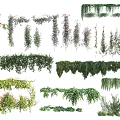 Various Types Of Decorative Climbing Hanging And Green Vines For Garden Decoration And Design