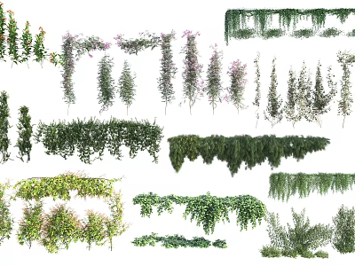 Various Types Of Decorative Climbing Hanging And Green Vines For Garden Decoration And Design 3d model
