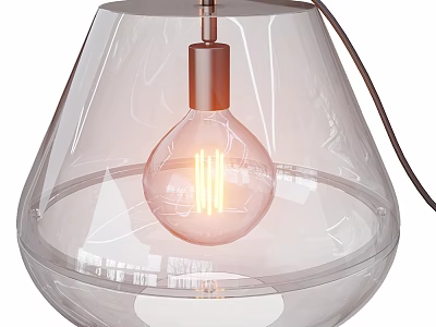 Transparent Glass Ceiling Light With Modern LED Bulb And Warm Glow Contemporary Design 3d model