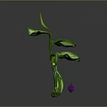 Unique Decorative Plant With Curved Green Stems Lush Leaves and Small Purple Fruits