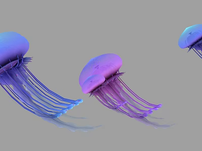 Vibrant Blue and Purple Jellyfish with Long Flowing Tentacles in Aquatic Environment 3d model