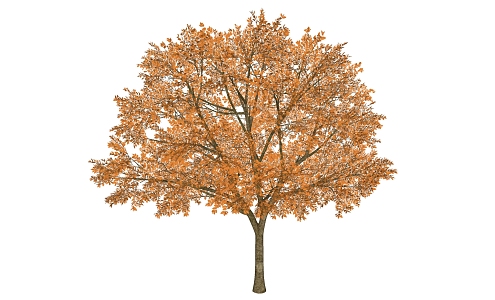 Modern Trees 3d model