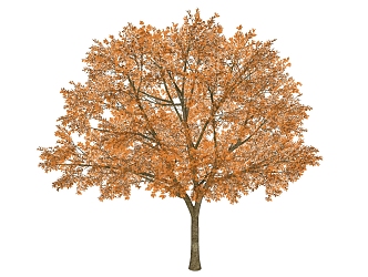 Modern Trees 3d model