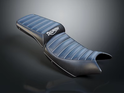 Triumph Navy Blue Striped Leather Leisure Chair With Black Trim And Comfortable Design 3d model