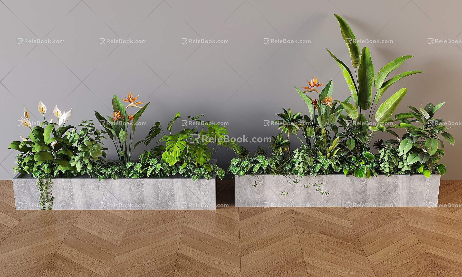 Plant Pile Indoor Landscape Plant Pile Plant Combination Plant Landscape Fern Flowers model