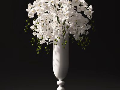 Elegant White Ceramic Vase With White Orchids And Green Berries On Black Background 3d model