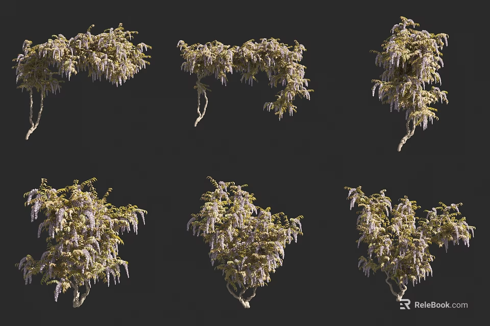 Vine Plant Variations With Different Growth Forms And Lush Foliage Textures 3d model