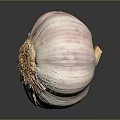 Fresh Garlic Bulb With Pink And White Stripes On Dark Surface 3d model