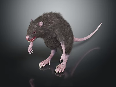 Realistic Dark Fur Rat With Sharp Claws Open Mouth On Dark Reflective Surface 3d model