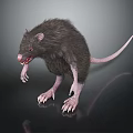 Realistic Dark Fur Rat With Sharp Claws Open Mouth On Dark Reflective Surface 3d model