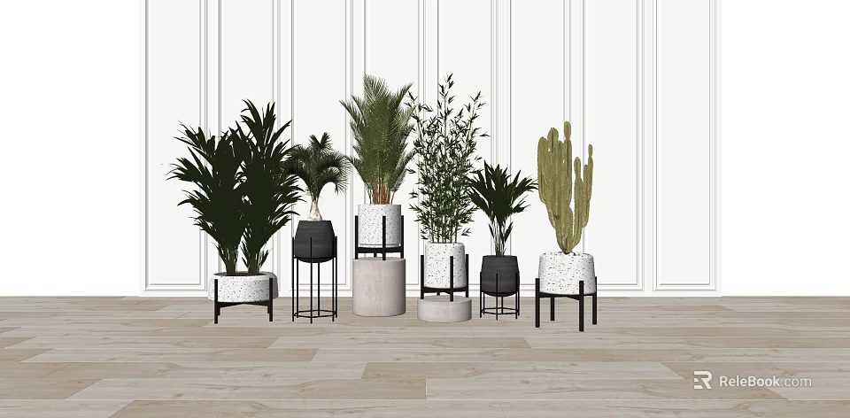 Diverse Indoor Potted Green Plants In Various Styled Planters On Wooden Floor 3d model 