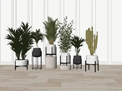 Diverse Indoor Potted Green Plants In Various Styled Planters On Wooden Floor 3d model