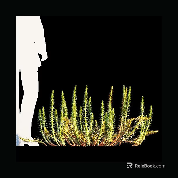 Aquatic Plants With Long Green Stems And Vibrant Foliage In Natural Habitat 3d model 