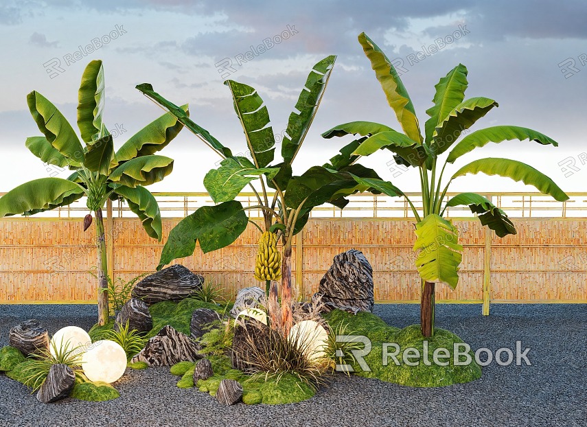 Modern micro-terrain moss courtyard sketch landscape stone plantain banana landscape landscaping model