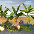 Tropical Banana Trees In Garden With Rocks Grass Bamboo Fence And Round Lights