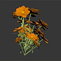 Vibrant Orange Flowers With Green Stems And Leaves Against Black Background And Reflection