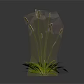 Two Types of Plants With Slender Stems White and Green Leaves and Spiked Tops