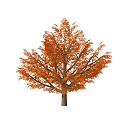 Tree 3d model