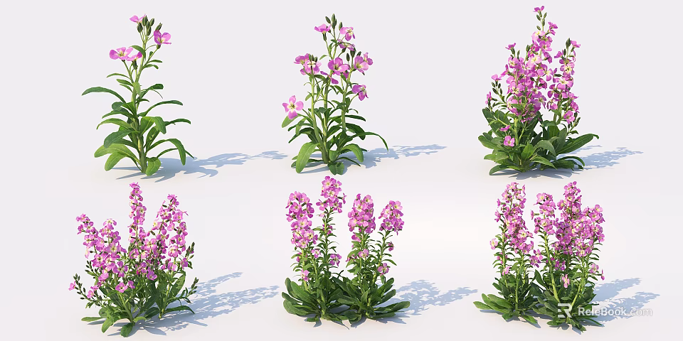 Fresh Pink Flowers and Green Leaves in Multiple Clusters Displaying Natural Growth 3d model 